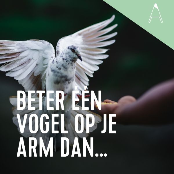 BLOG: Beter één vogel op je arm dan……
