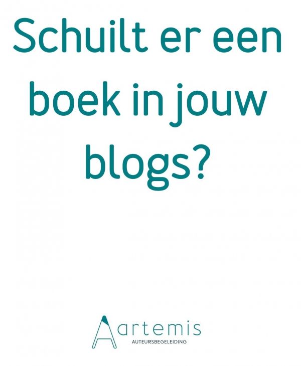 Schuilt er een boek in jouw blogs?